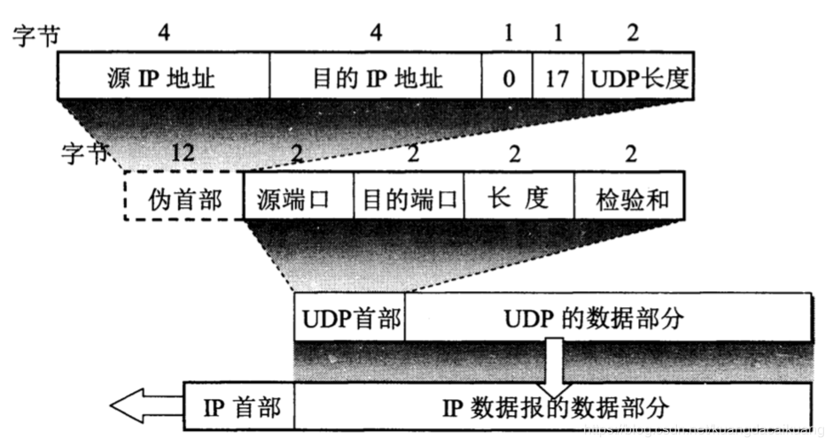 首部格式